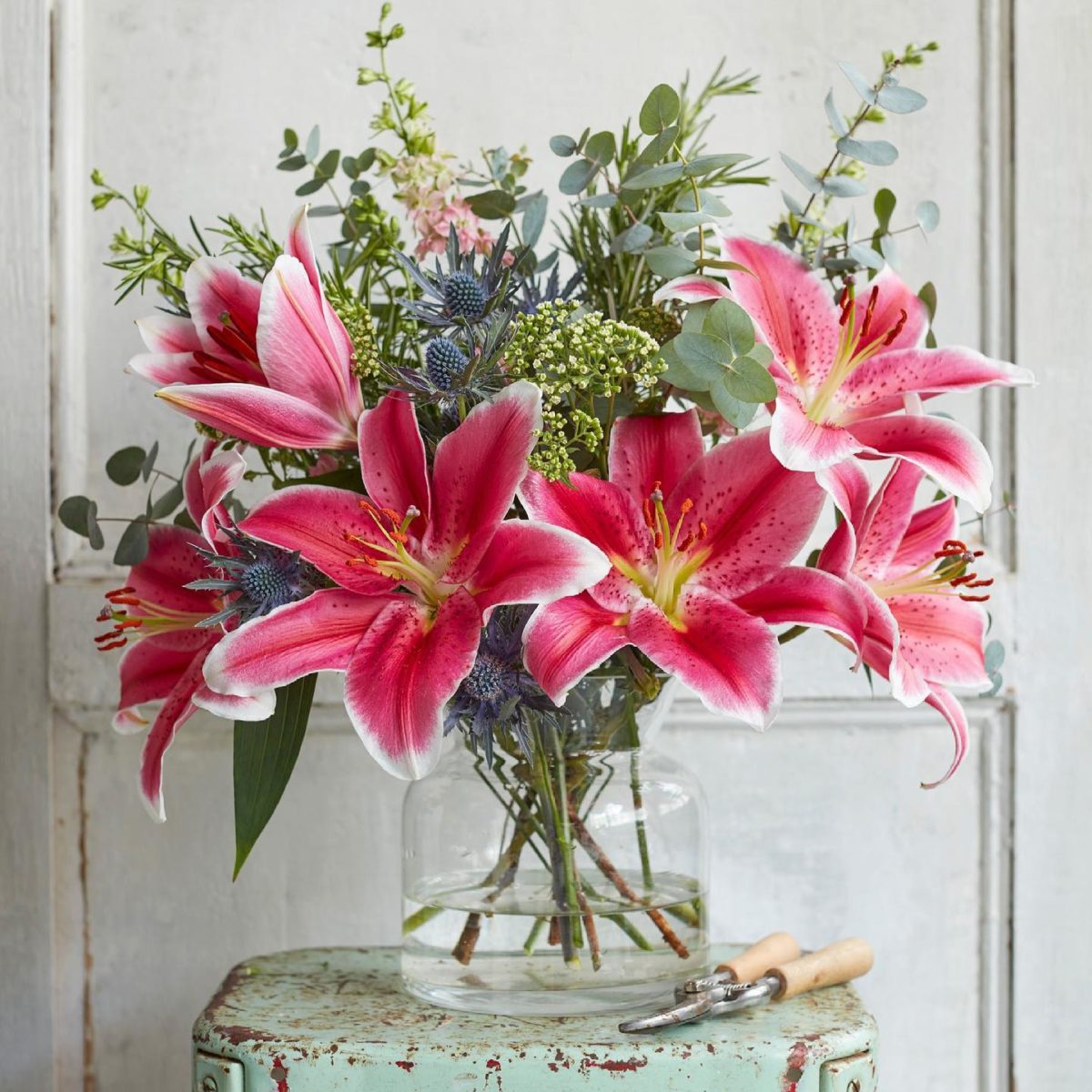 Freddies Flowers Review Must Read This Before Buying