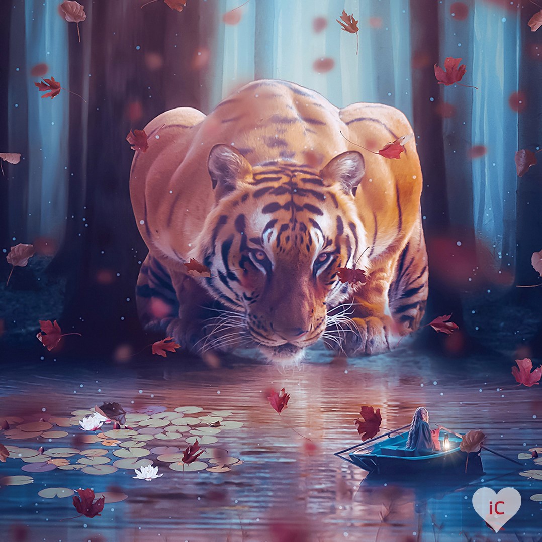 ICanvas Review Must Read This Before Buying