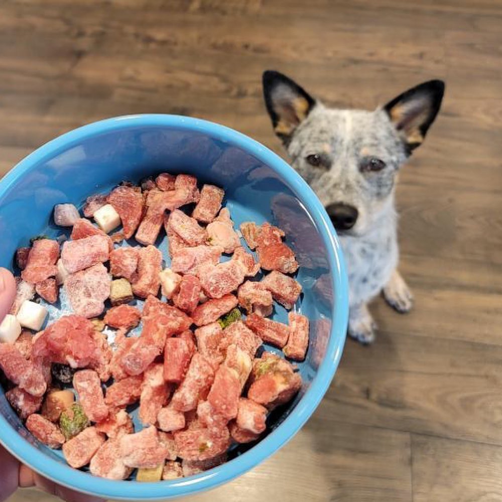 Maev Dog Food Review