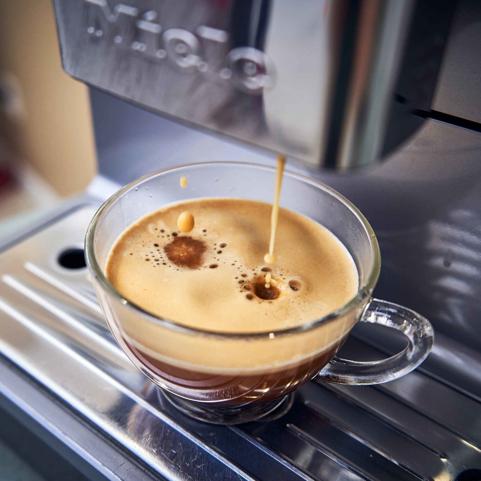 Seattle Coffee Gear Review Must Read This Before Buying