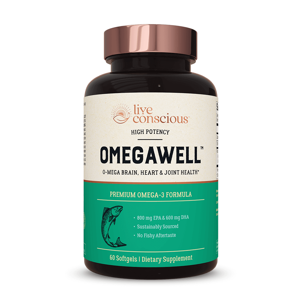 Live Conscious Review