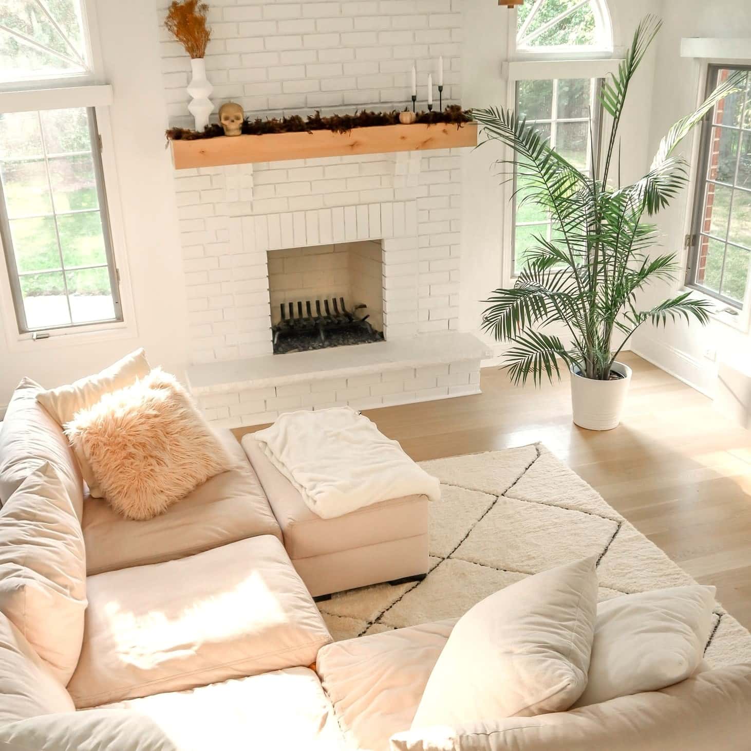 Benisouk Rugs Review Must Read This Before Buying