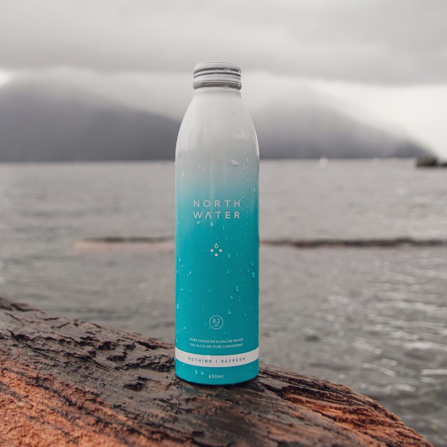 11 Best Alkaline Water Brands Must Read This Before Buying