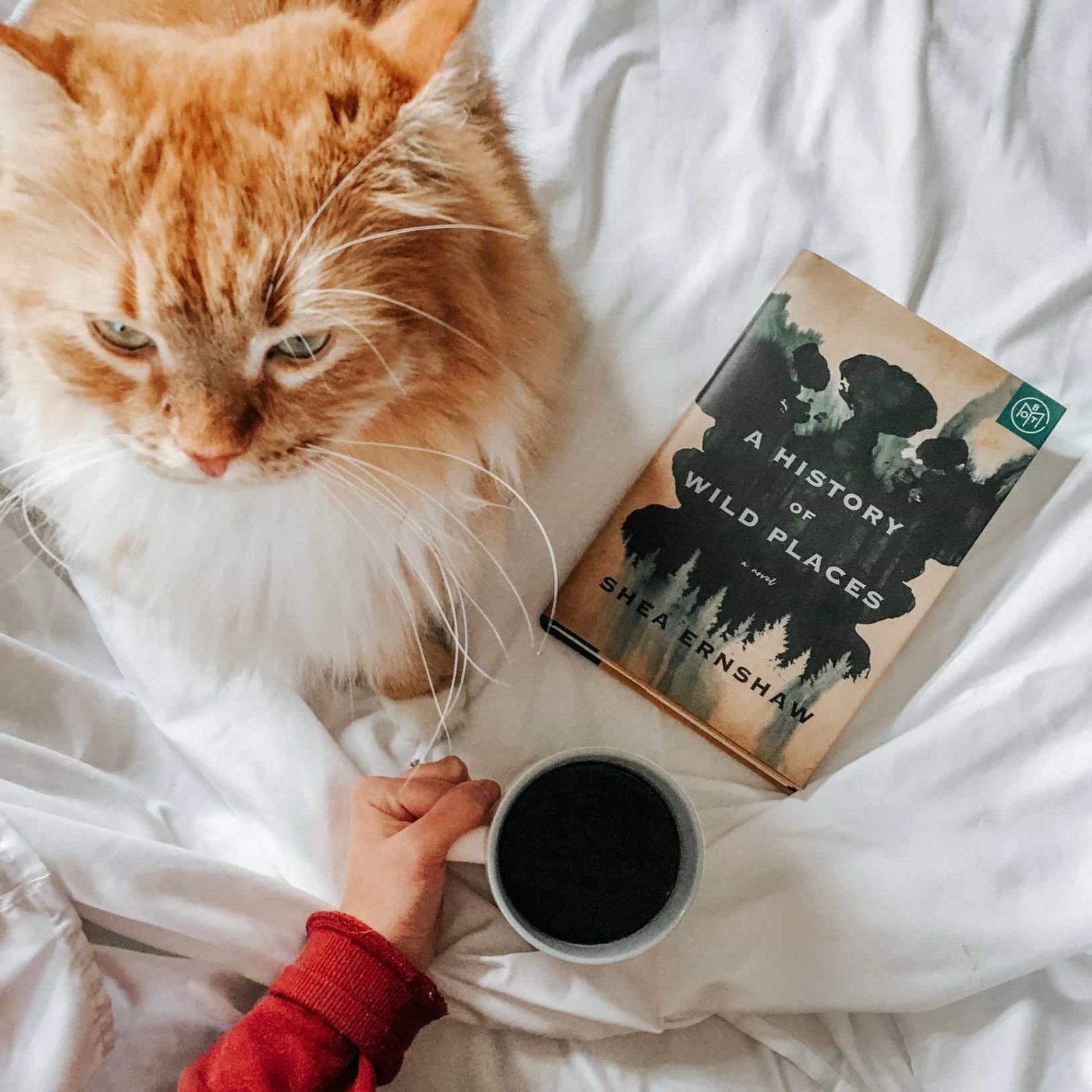 Book Of The Month Review Must Read This Before Buying