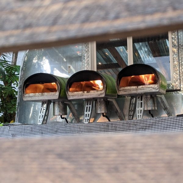 Gozney Pizza Oven Review Must Read This Before Buying