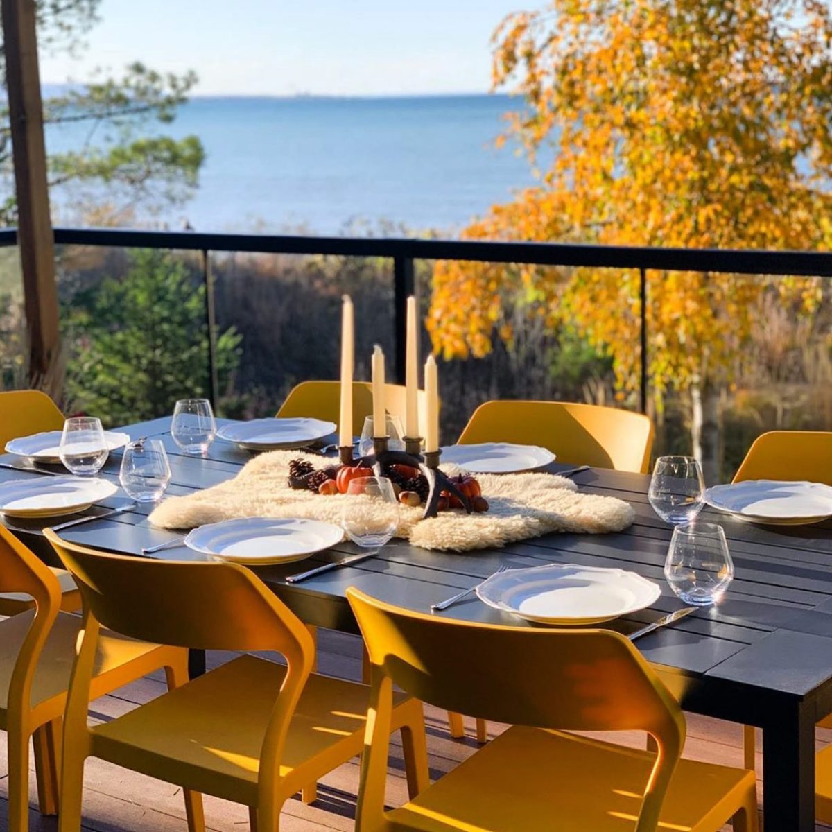 Mikasa Review Must Read This Before Buying