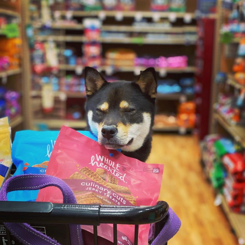 Petco vs Petsmart Review 10 Petco vs Petsmart Review