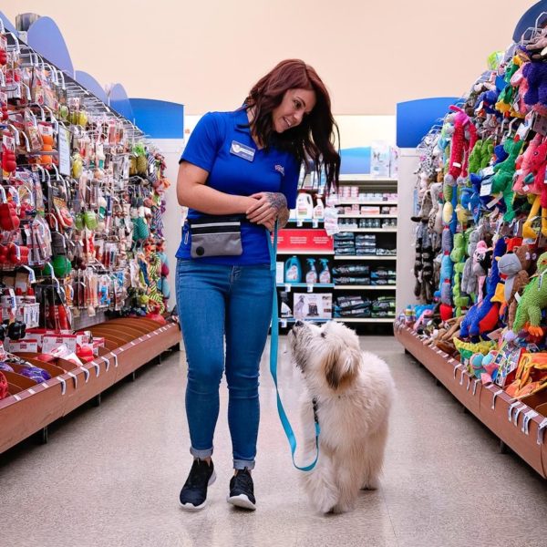 Petco vs Petsmart Review Must Read This Before Buying