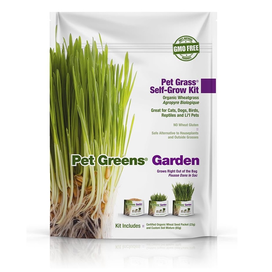 Your Fuzzy Cats Bell Rock Growers Pet Greens Self Grow Garden Wheatgrass Kit Review