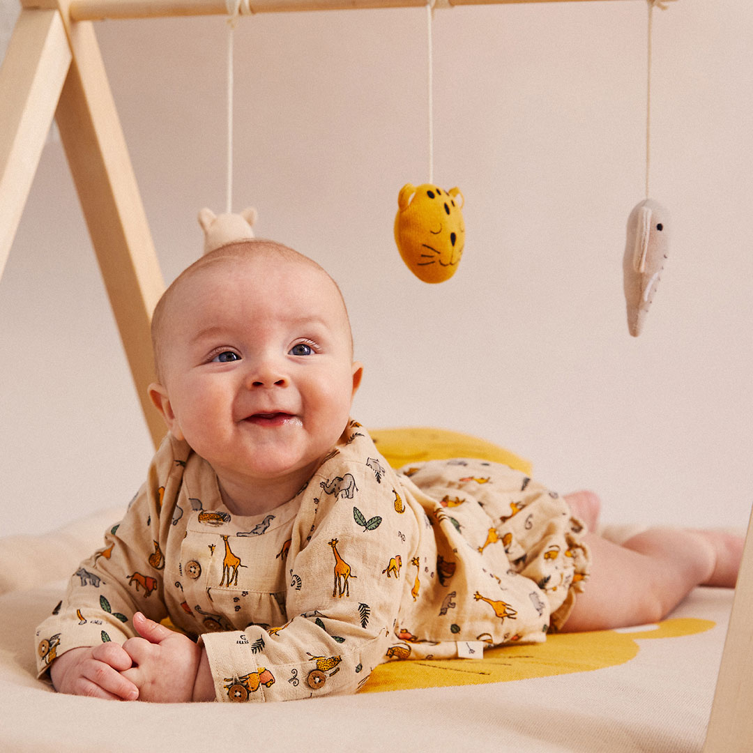 Review Must Read This Before Buying