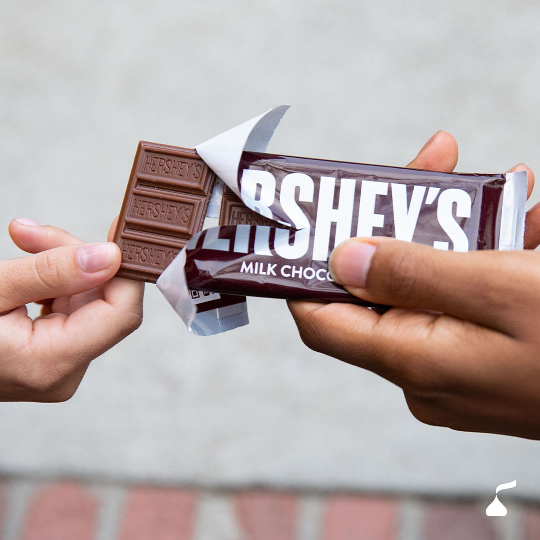 11 Best Chocolate Brands Must Read This Before Buying