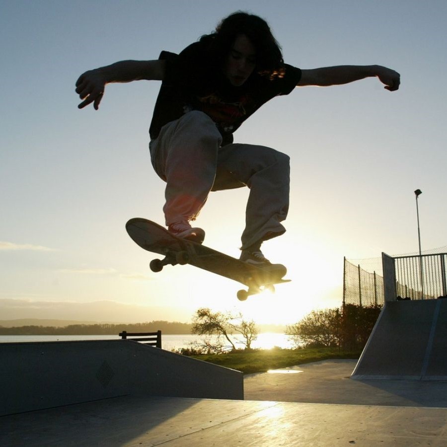 Best Skateboard Brands