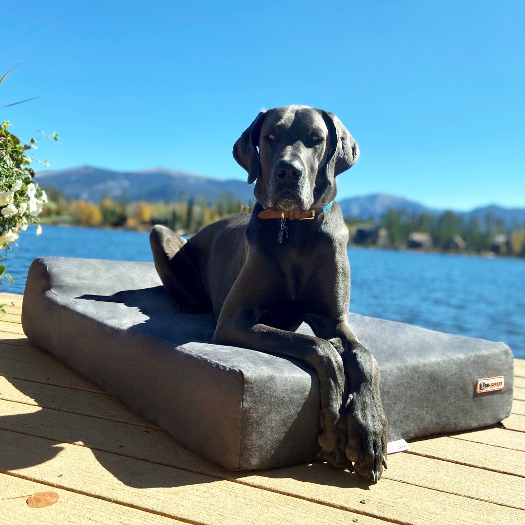 Big Barker Dog Bed Review Must Read This Before Buying