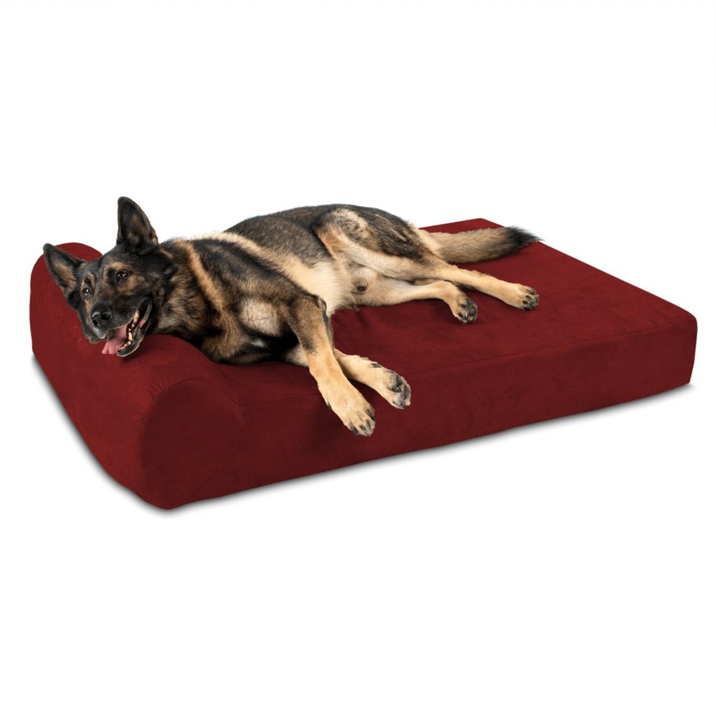 Big Barker Big Barker Orthopedic Dog Bed Headrest Edition Review