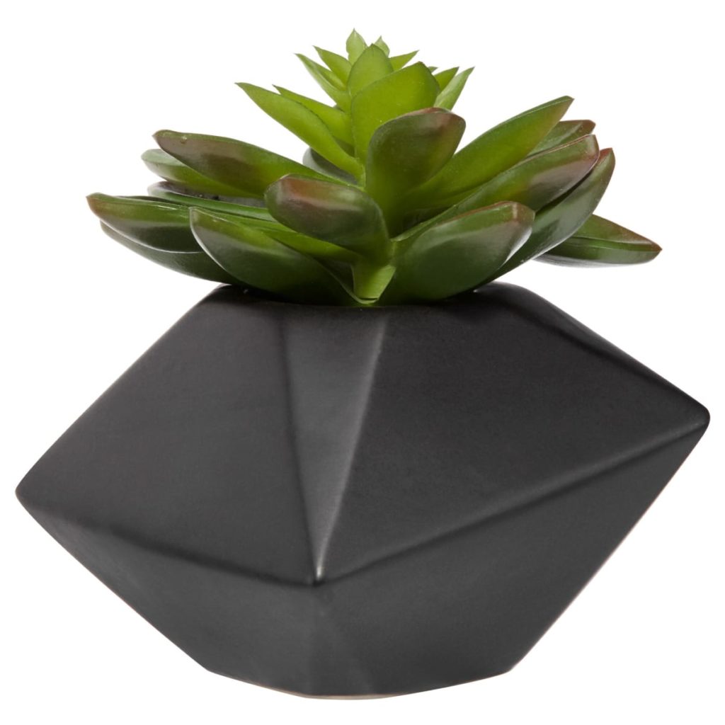 Bouclair Ceramic Potted Greenery Review