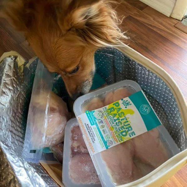 Cooks Venture Review Must Read This Before Buying