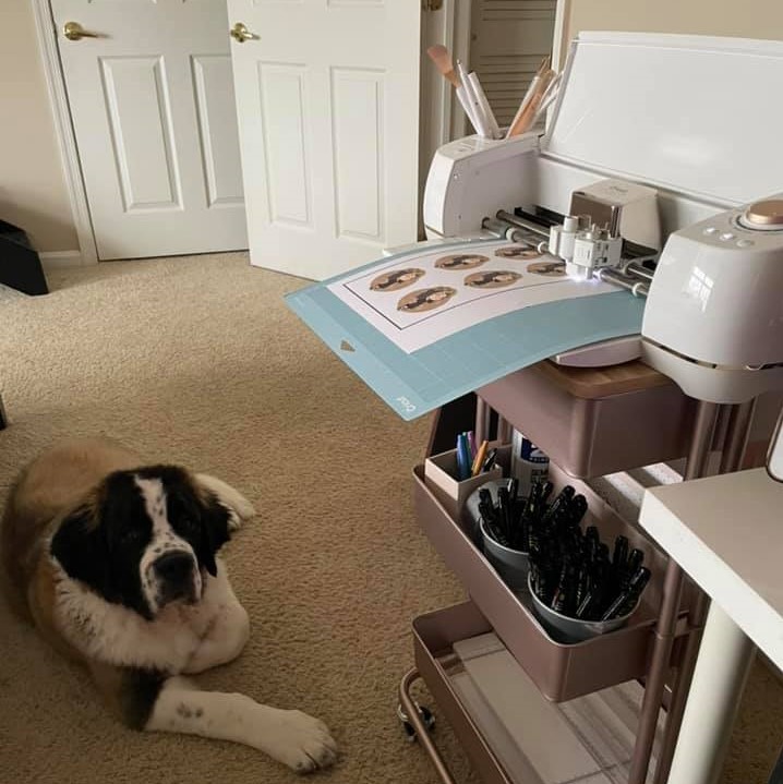 Cricut Review Must Read This Before Buying