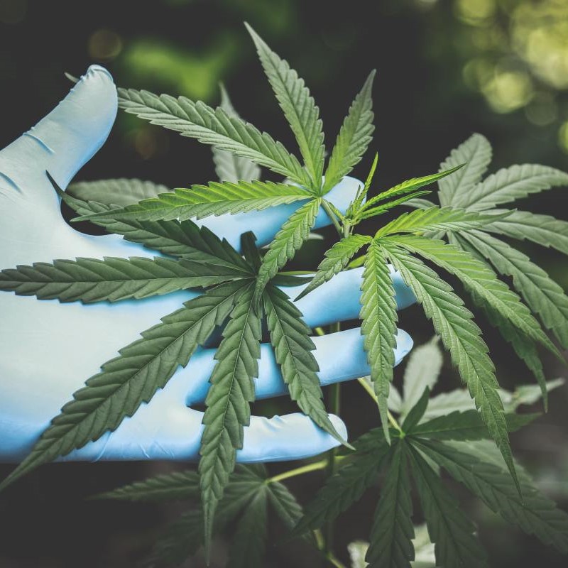 Dosist Review 17 Dosist Review 1