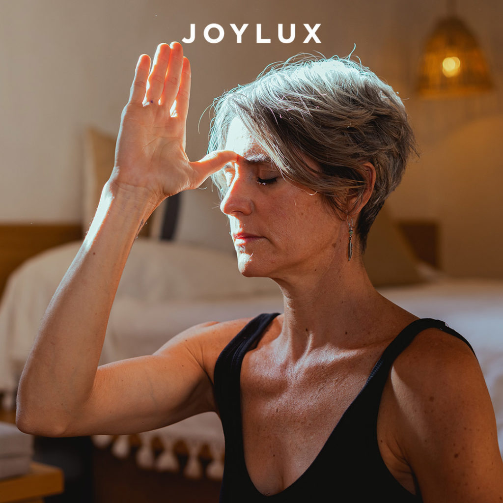 Joylux Review 