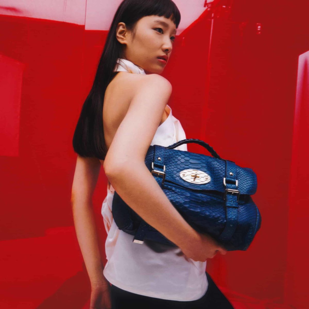 Mulberry Review Must Read This Before Buying