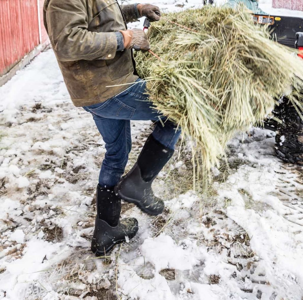 BOGS Review 15 BOGS Review