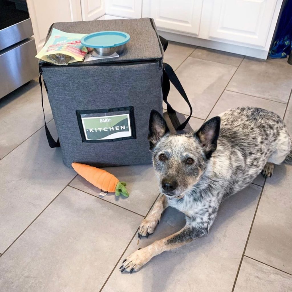 Bark Eats Dog Food Review Must Read This Before Buying