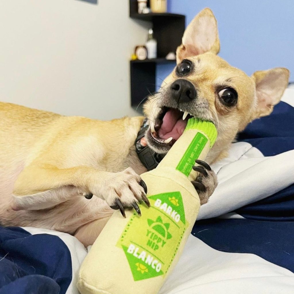 Bark Eats Dog Food Review Must Read This Before Buying