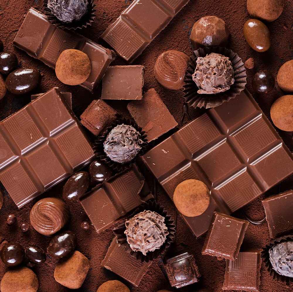 Best Chocolate Brands