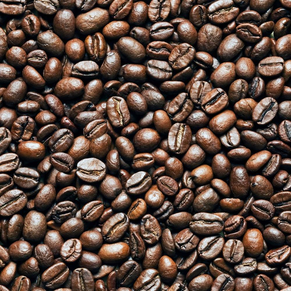 Best Coffee Brands