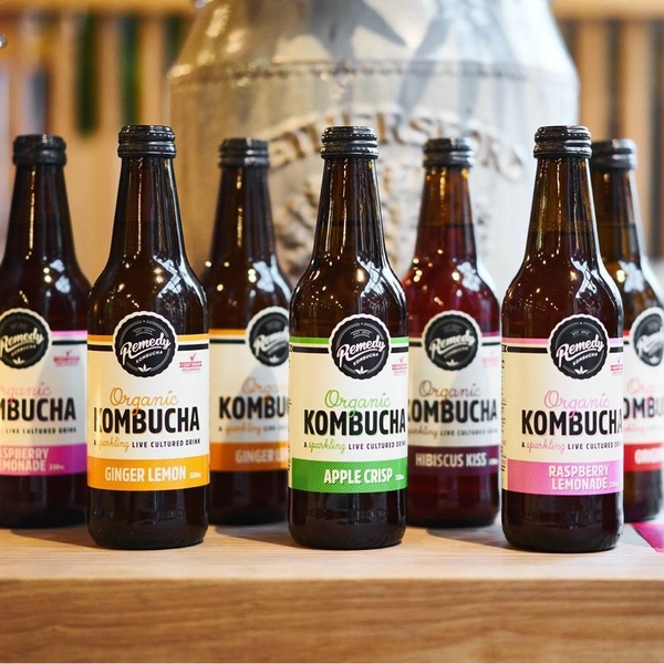 Best Kombucha Brands