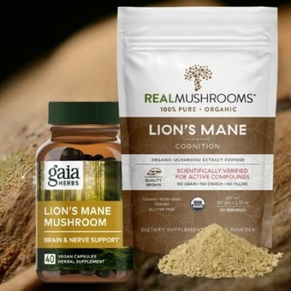 Best Lion’s Mane Supplements