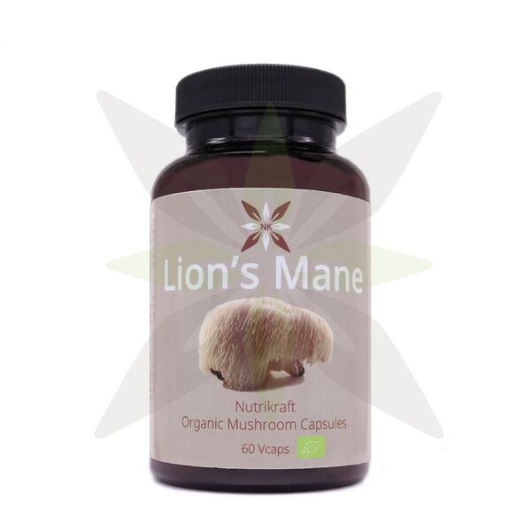 Best Lion’s Mane Supplements