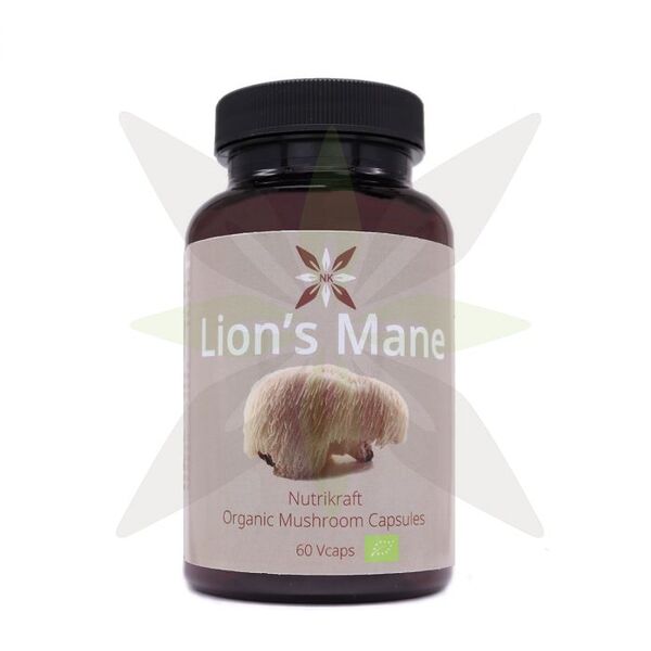 Best Lion's Mane Supplements 14 Best Lion’s Mane Supplements