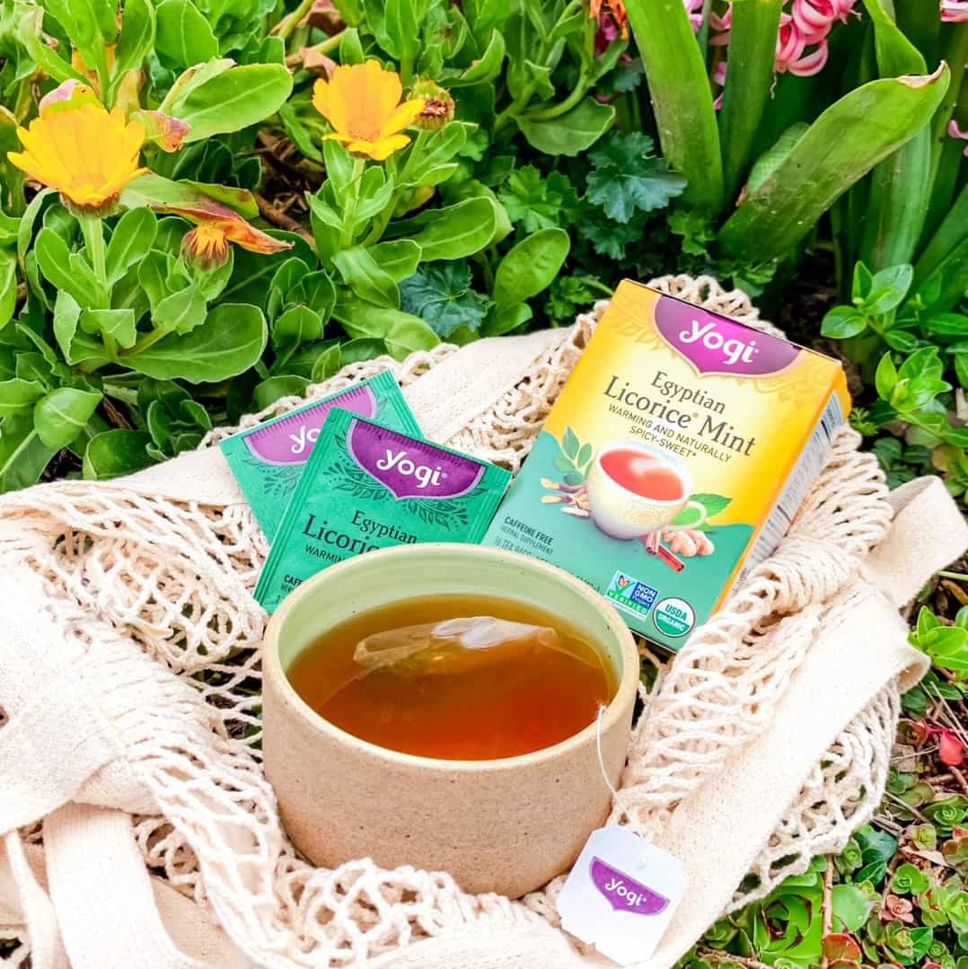 10 Best Loose Leaf Tea Brands Must Read This Before Buying