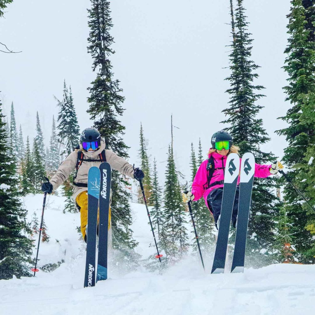 10 Best Ski Brands