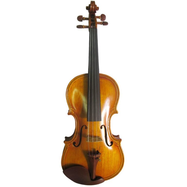10 Best Violin Brands Must Read This Before Buying
