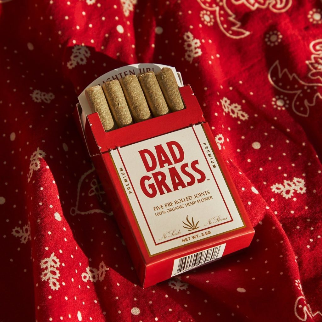 Dad Grass Review