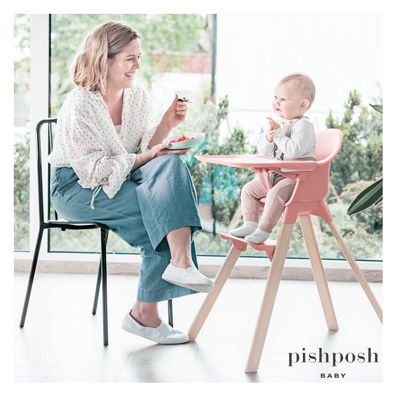 PishPoshBaby Review