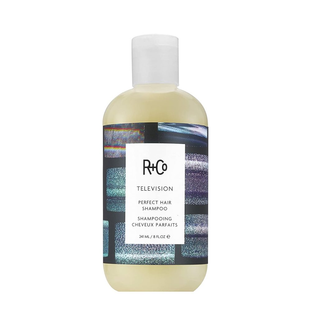 R and Co Television Perfect Hair Shampoo Review