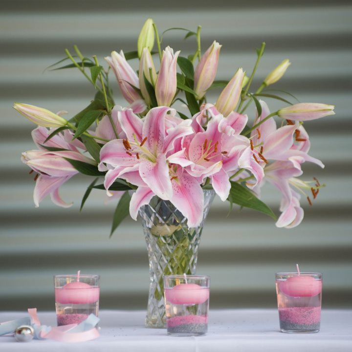 Rose Farmers Review