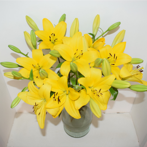 Rose Farmers Mixed Lilies Review