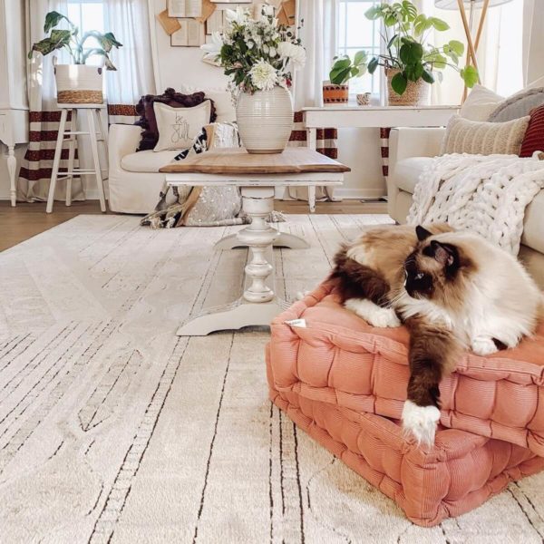 Review Must Read This Before Buying