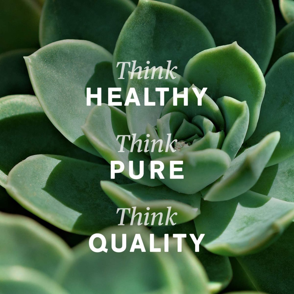 20 Best Liquid Chlorophylls Must Read This Before Buying