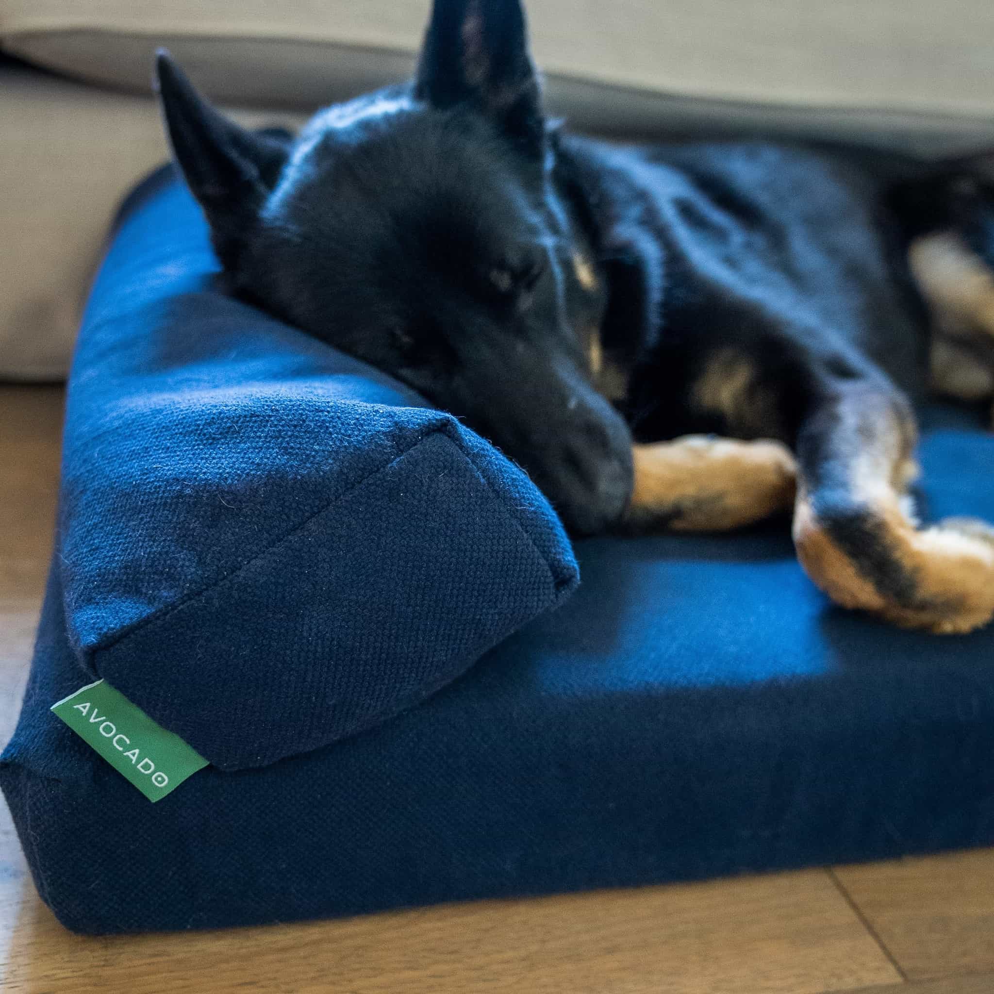 Avocado Green Mattress Review Must Read This Before Buying