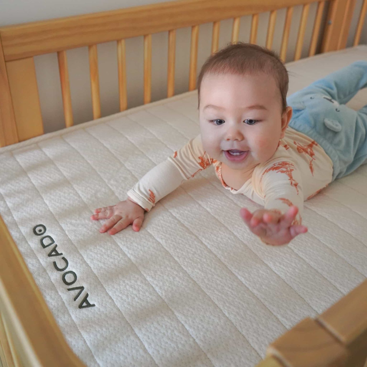 Avocado Green Mattress Review Must Read This Before Buying