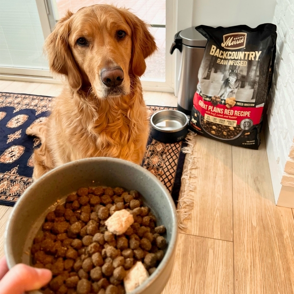 17 Best Dog Food Brands 13 Merrick