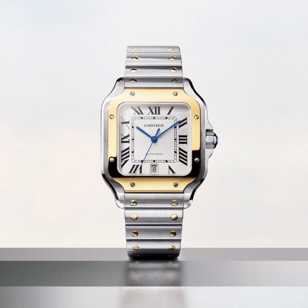 10 Best Watch Brands For Women Must Read This Before Buying