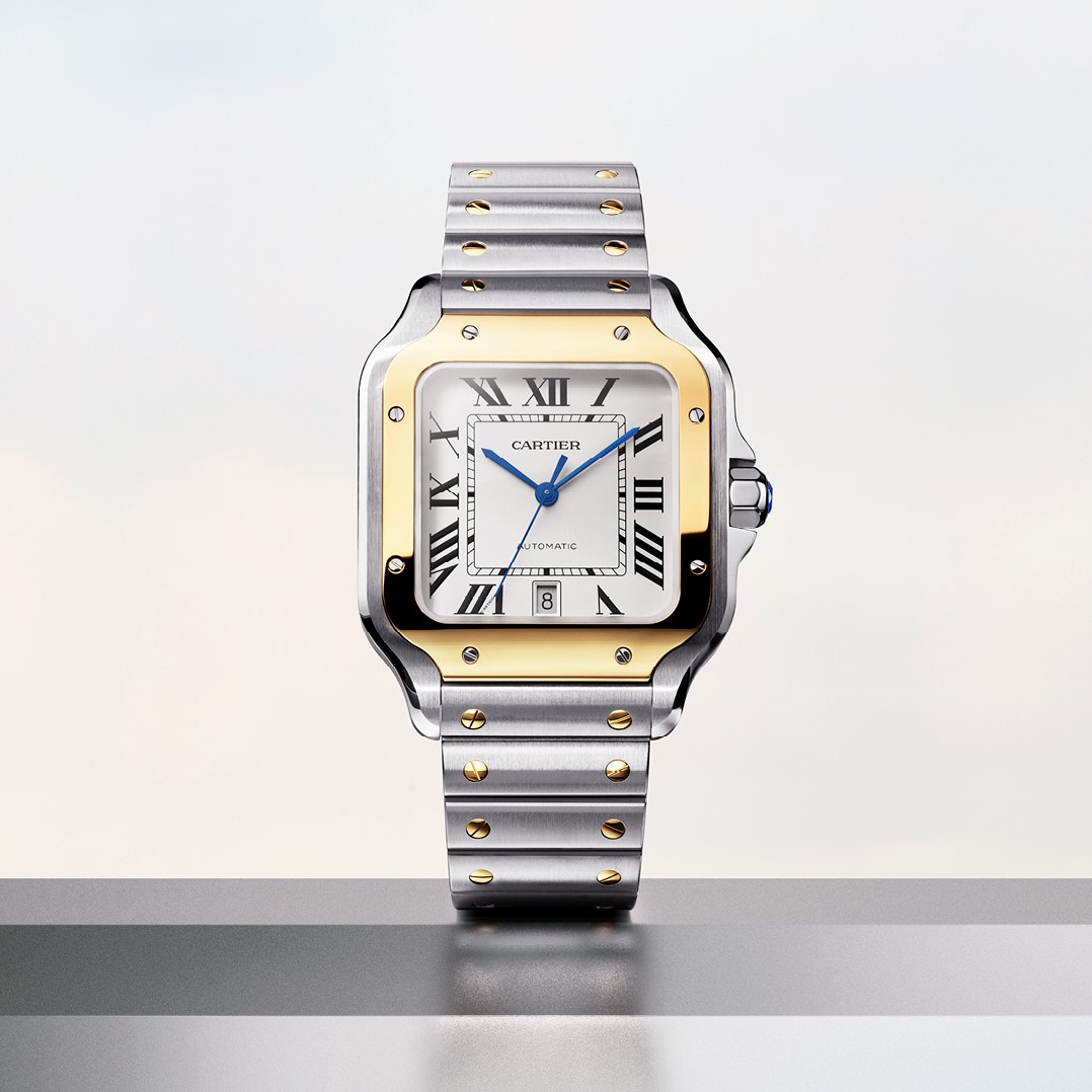 10 Best Watch Brands For Women Must Read This Before Buying