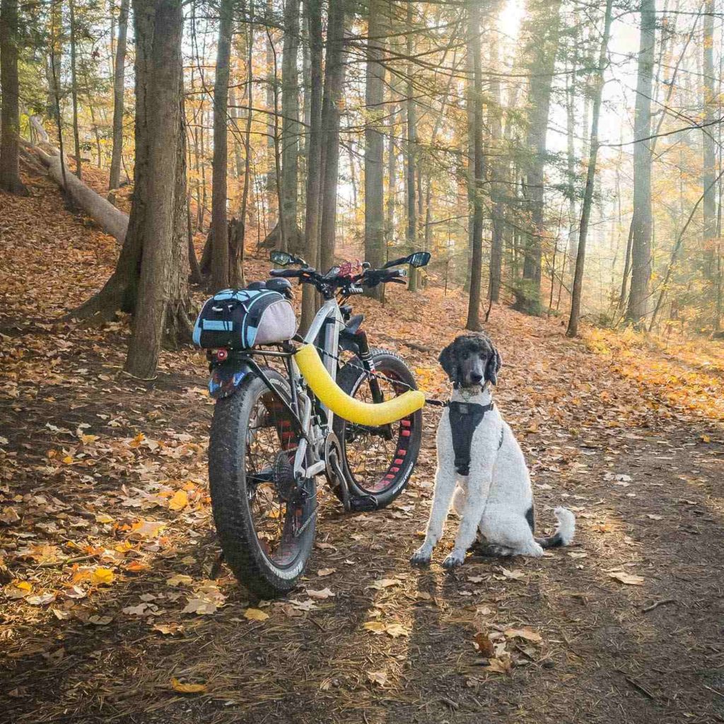 11 Best eBike Brands 12 Best eBike Brands