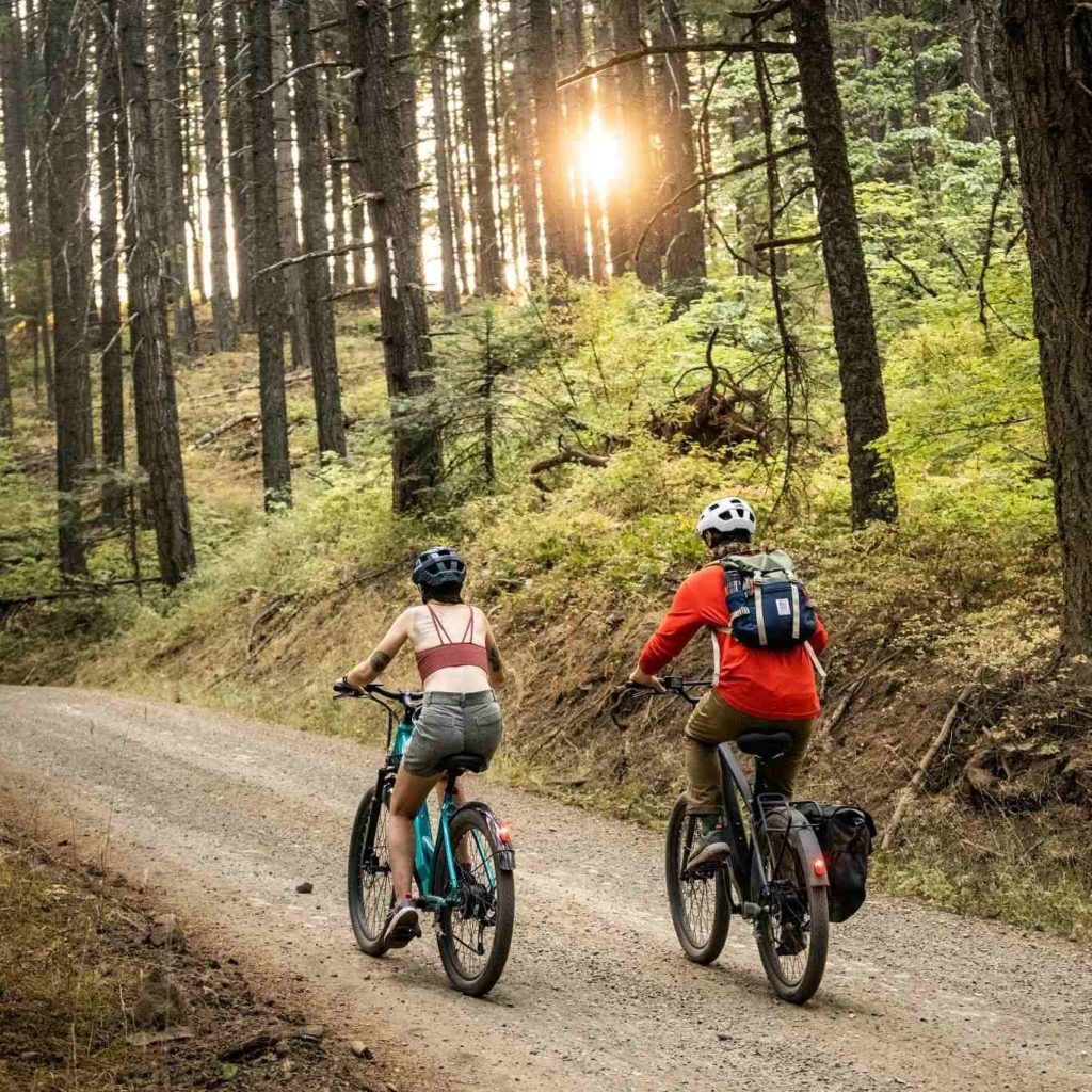 11 Best eBike Brands 19 Best eBike Brands